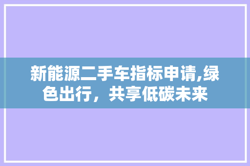 新能源二手车指标申请,绿色出行，共享低碳未来