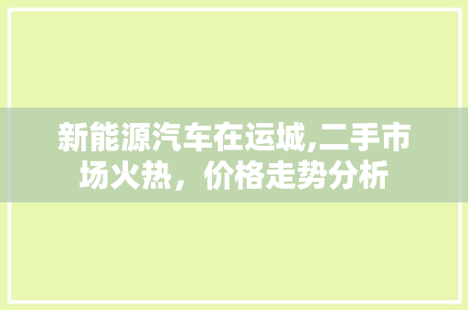 新能源汽车在运城,二手市场火热，价格走势分析