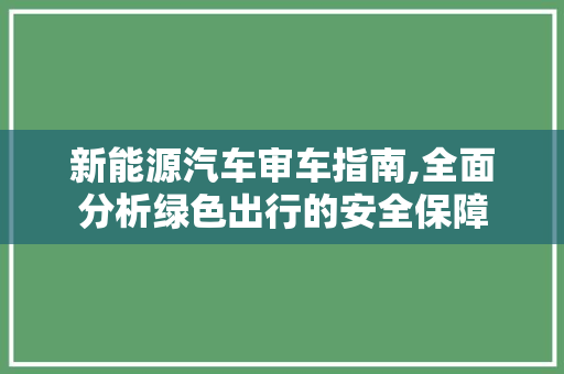 新能源汽车审车指南,全面分析绿色出行的安全保障