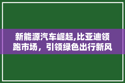 新能源汽车崛起,比亚迪领跑市场，引领绿色出行新风尚