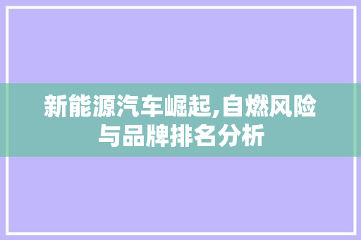 新能源汽车崛起,自燃风险与品牌排名分析