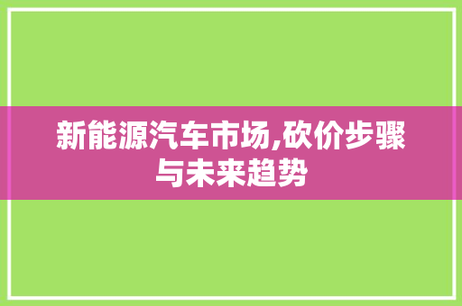 新能源汽车市场,砍价步骤与未来趋势