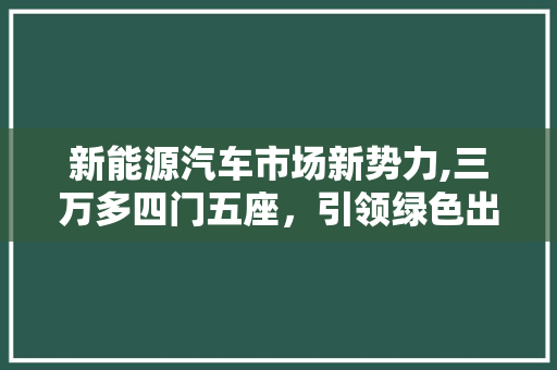 新能源汽车市场新势力,三万多四门五座，引领绿色出行新风尚