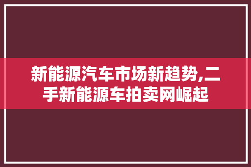 新能源汽车市场新趋势,二手新能源车拍卖网崛起