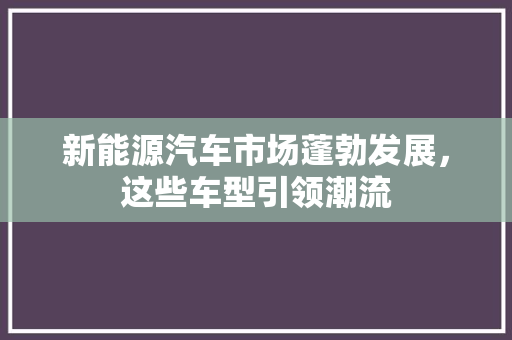 新能源汽车市场蓬勃发展，这些车型引领潮流