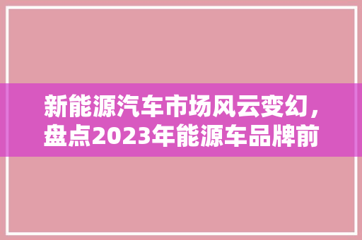 新能源汽车市场风云变幻，盘点2023年能源车品牌前十名排行榜
