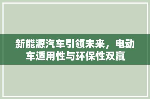 新能源汽车引领未来，电动车适用性与环保性双赢