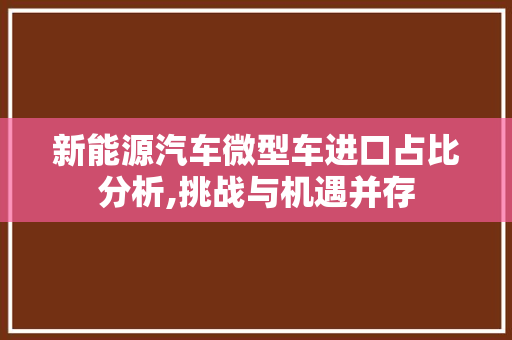 新能源汽车微型车进口占比分析,挑战与机遇并存