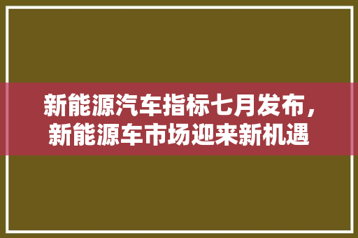新能源汽车指标七月发布，新能源车市场迎来新机遇
