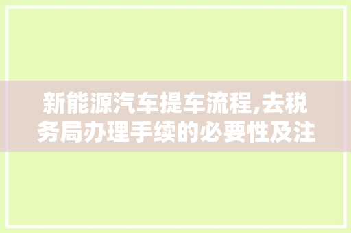 新能源汽车提车流程,去税务局办理手续的必要性及注意事项