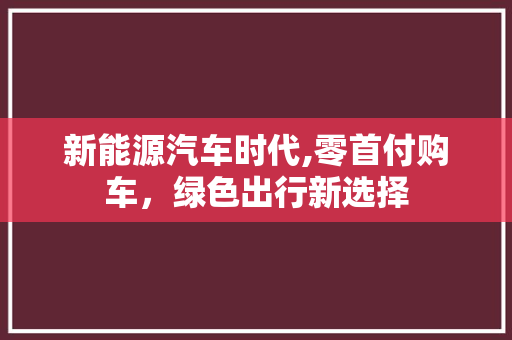 新能源汽车时代,零首付购车，绿色出行新选择