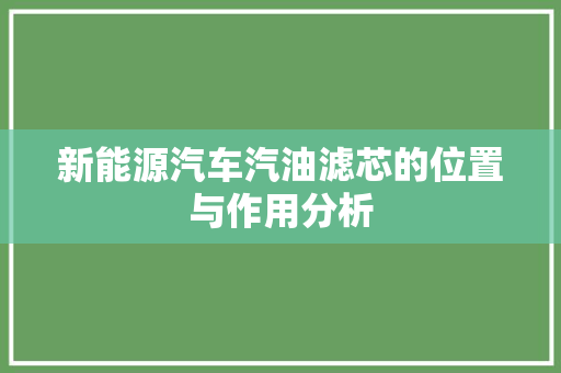 新能源汽车汽油滤芯的位置与作用分析