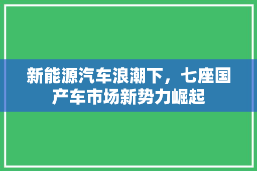 新能源汽车浪潮下，七座国产车市场新势力崛起