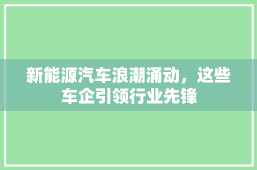 新能源汽车浪潮涌动，这些车企引领行业先锋