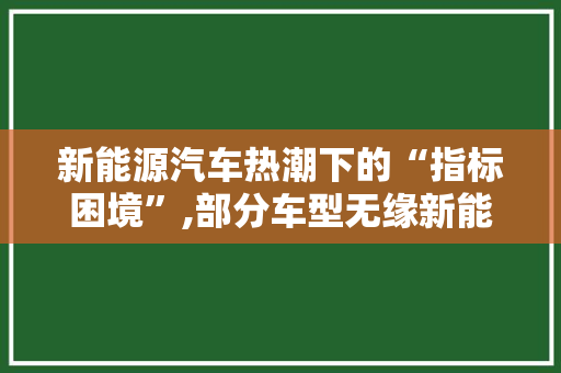 新能源汽车热潮下的“指标困境”,部分车型无缘新能源指标分析