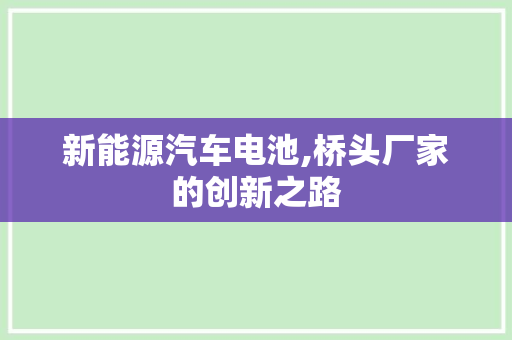 新能源汽车电池,桥头厂家的创新之路
