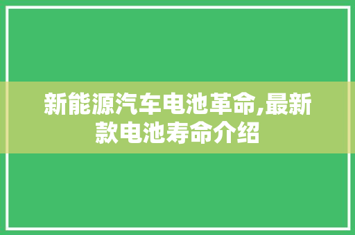 新能源汽车电池革命,最新款电池寿命介绍