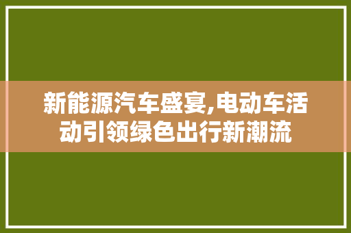 新能源汽车盛宴,电动车活动引领绿色出行新潮流