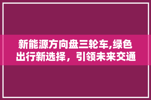 新能源方向盘三轮车,绿色出行新选择，引领未来交通潮流