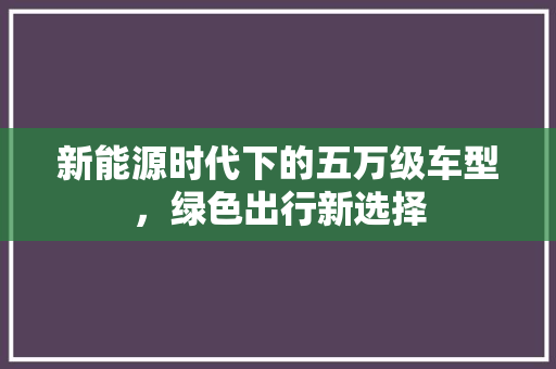 新能源时代下的五万级车型，绿色出行新选择