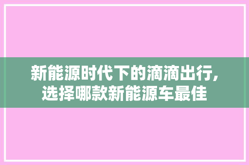 新能源时代下的滴滴出行,选择哪款新能源车最佳
