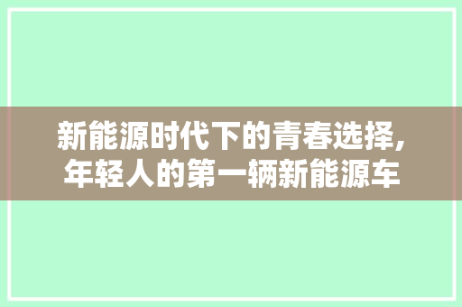 新能源时代下的青春选择,年轻人的第一辆新能源车