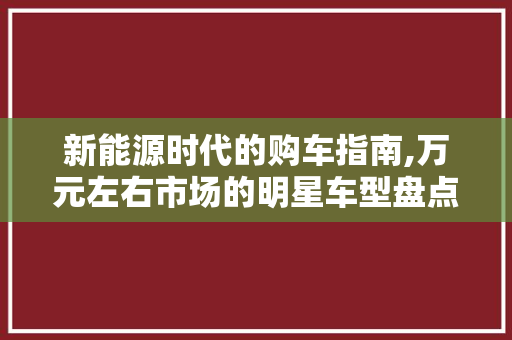新能源时代的购车指南,万元左右市场的明星车型盘点