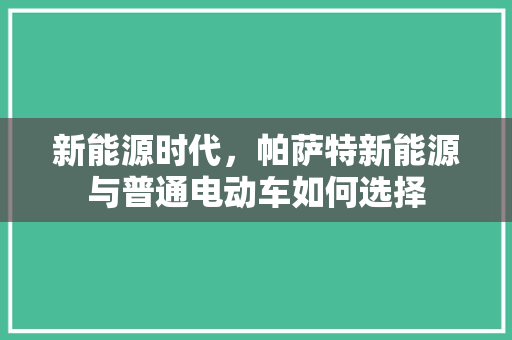新能源时代，帕萨特新能源与普通电动车如何选择