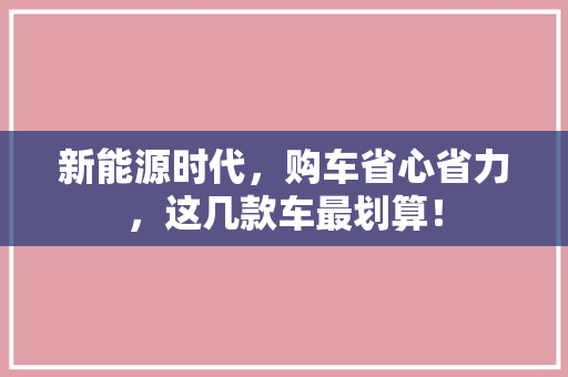 新能源时代，购车省心省力，这几款车最划算！