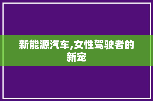 新能源汽车,女性驾驶者的新宠