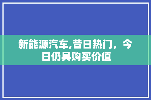 新能源汽车,昔日热门，今日仍具购买价值