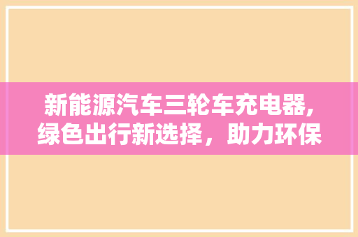 新能源汽车三轮车充电器,绿色出行新选择，助力环保生活
