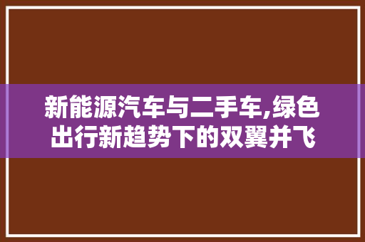 新能源汽车与二手车,绿色出行新趋势下的双翼并飞