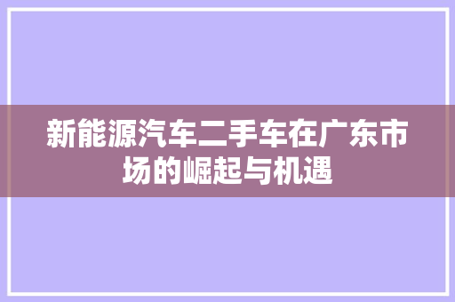 新能源汽车二手车在广东市场的崛起与机遇