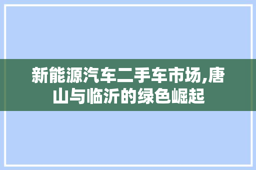 新能源汽车二手车市场,唐山与临沂的绿色崛起