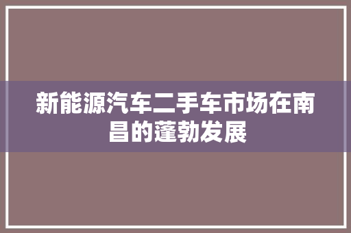 新能源汽车二手车市场在南昌的蓬勃发展