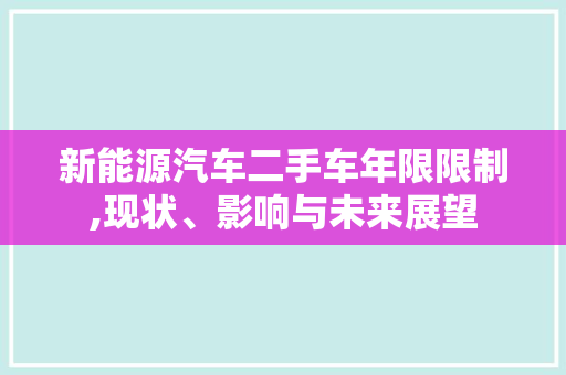 新能源汽车二手车年限限制,现状、影响与未来展望