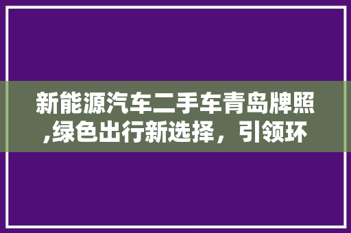 新能源汽车二手车青岛牌照,绿色出行新选择，引领环保潮流