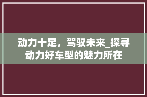 动力十足，驾驭未来_探寻动力好车型的魅力所在