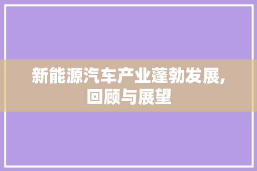 新能源汽车产业蓬勃发展,回顾与展望