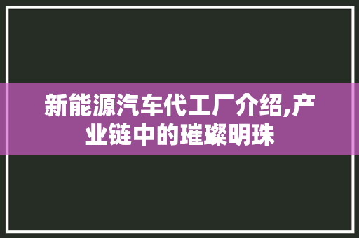 新能源汽车代工厂介绍,产业链中的璀璨明珠