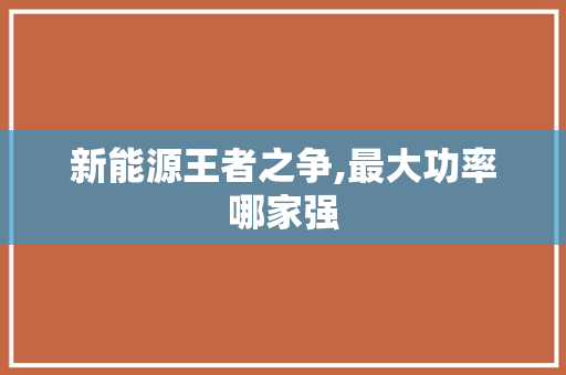新能源王者之争,最大功率哪家强