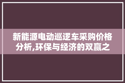 新能源电动巡逻车采购价格分析,环保与经济的双赢之路