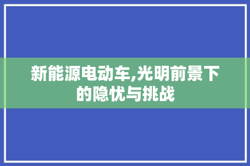 新能源电动车,光明前景下的隐忧与挑战