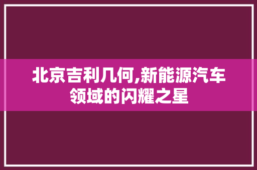 北京吉利几何,新能源汽车领域的闪耀之星