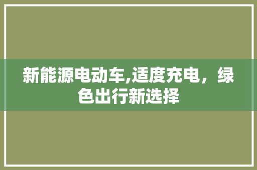 新能源电动车,适度充电，绿色出行新选择