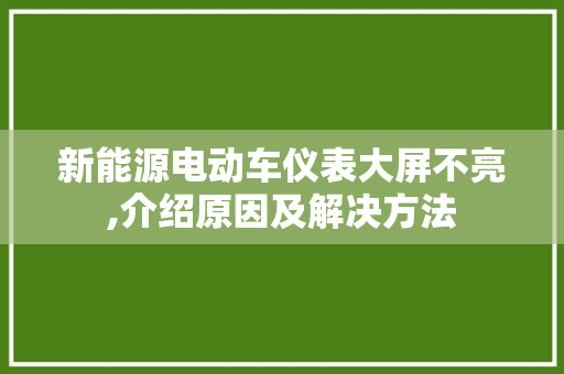 新能源电动车仪表大屏不亮,介绍原因及解决方法