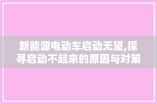 新能源电动车启动无望,探寻启动不起来的原因与对策