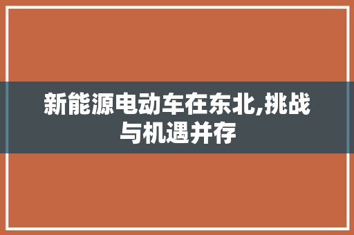 新能源电动车在东北,挑战与机遇并存