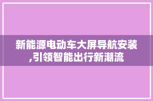 新能源电动车大屏导航安装,引领智能出行新潮流